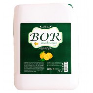 Bor Limon Kolonyası 80 Derece 5 Lt